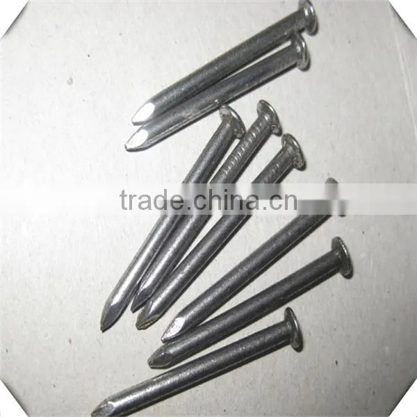 China Supplier for the Polish Common Wire Nails / Hot Sale Common Nails Price photo-4
