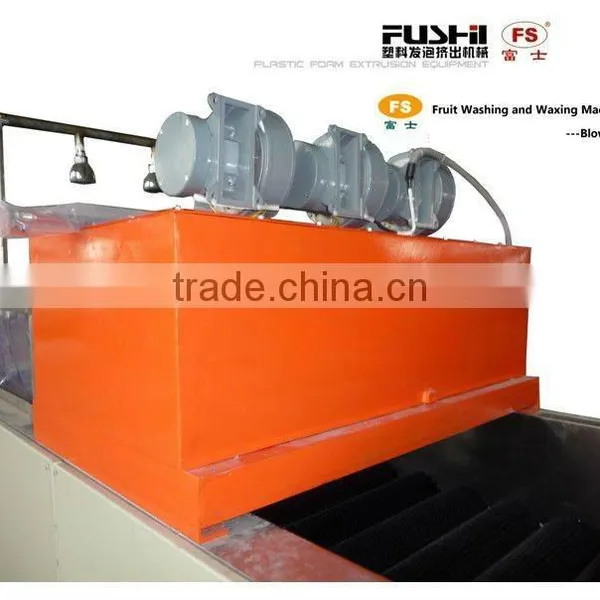 Fruit Cleaing Waxing and Grading Machine photo-5