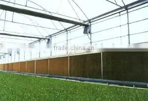 Agricultural Greenhouse photo-5