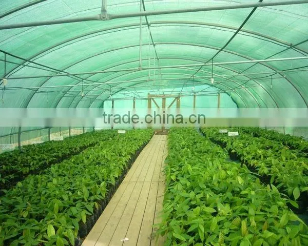 Plastic & Poly Tunnel Greenhouse/factory Price photo-4
