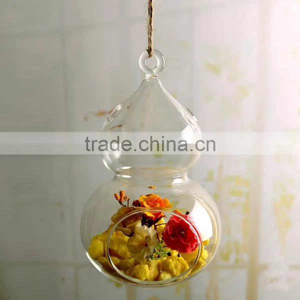 DIY Home Decoration Micro Landscape Calabash Shaped Hanging Clear Glass Terrarium photo-3