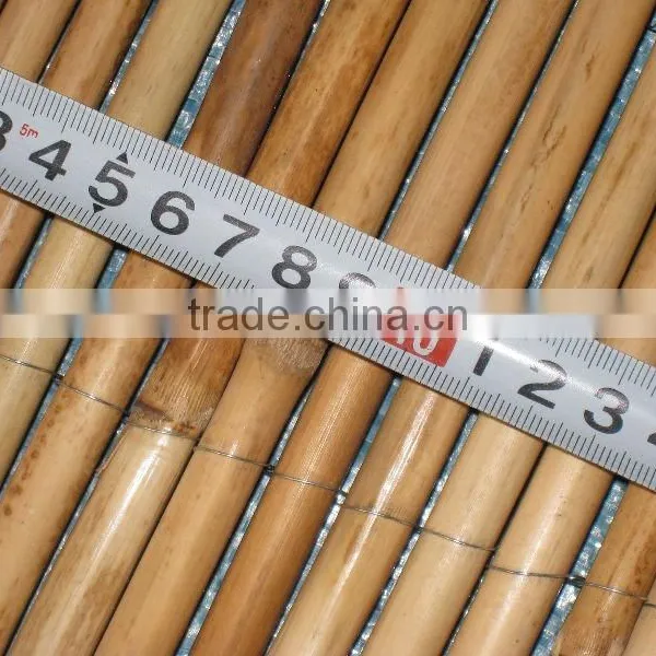 Bamboo Fence photo-2