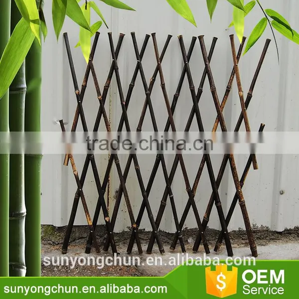 Hot Rural Style Bamboo Raw Materials Green Garden Chinese Bamboo Canes photo-4