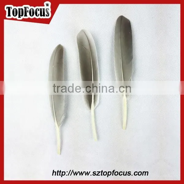 Cheap Colorf Cleaning Goose Artificial Feathers for DIY Sale Cheap photo-3