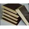 GIGA- 12-18mm Concrete Formwork Plywood/film Faced Plywood