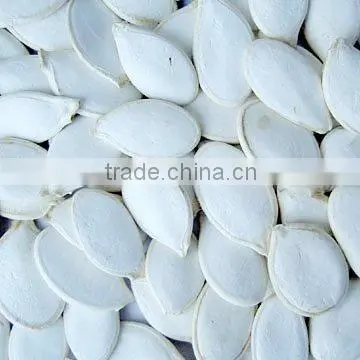 Organic Pumpkin Kernel photo-4