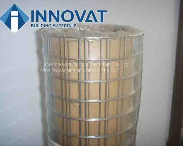Galvanized Stainless Steel Welded Wire Mesh photo-3