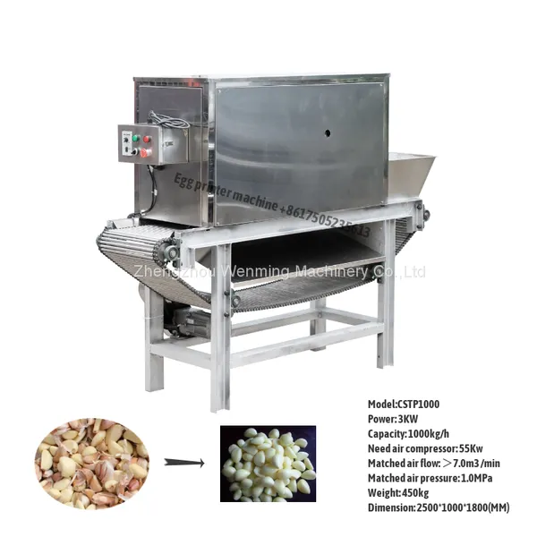 Commercial Chain Type Garlic Peeling Machine High Capacity Garlic Peeling Machine Automatic Garlic Peeler Machine photo-5