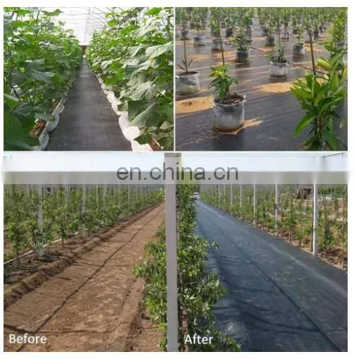 Landscape Ground Cover Heavy PP Woven Weed Barrier,Soil Erosion Control and UV Stabilized, Plastic Mulch Weed Block photo-2