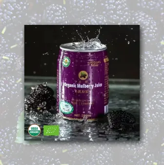 Organic Mulberry Juice Conentrate photo-2