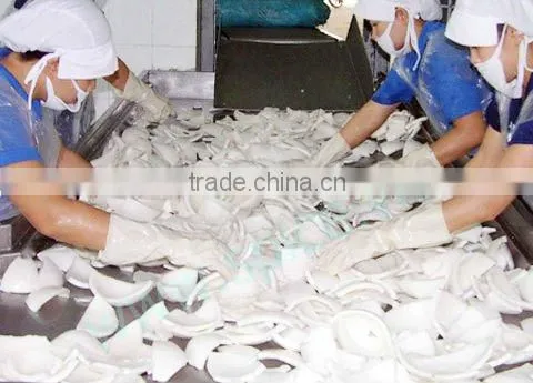 Vietnam Desiccated Coconut Medium Fat (Chip Grade) - HIGH QUALITY, COMPETITIVE PRICE!!! photo-2