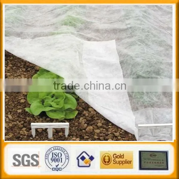 Non-woven Weed Control Cover Factory photo-4