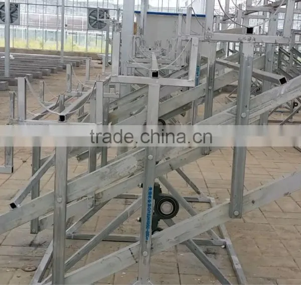 Hot Sale Cut Flowers Used Greenhouse Bench photo-2
