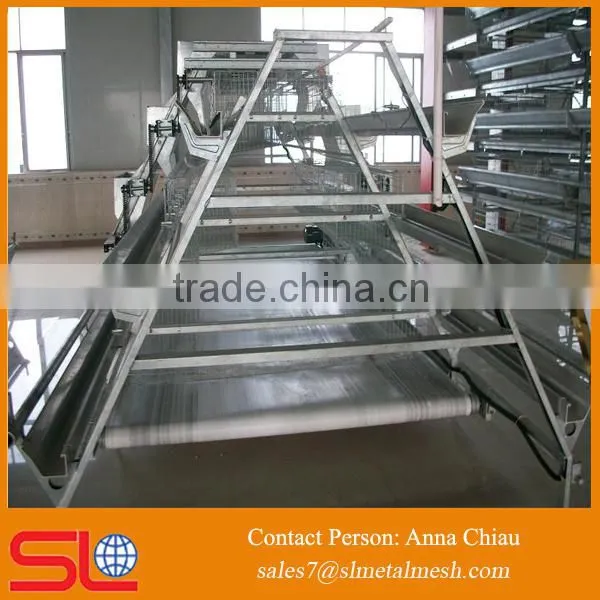 Cheap Cage for Growing Broiler / Broiler Battery Cage / Broiler Cage photo-4
