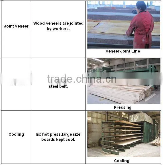 PINE LVL SCAFFOLD BOARD FOR U.A.E photo-5