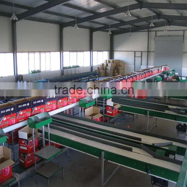 Orange Washing ,waxing ,grading and Packing Production Line photo-5