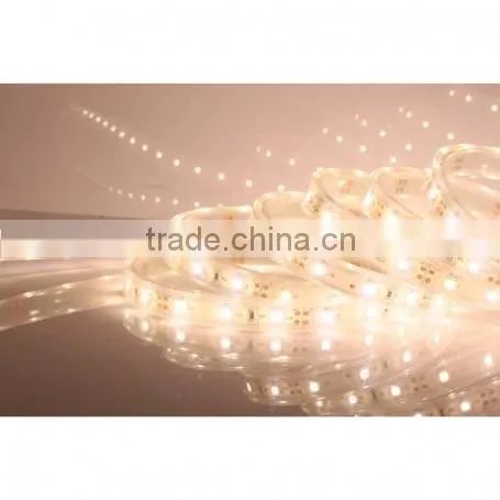SDSLED IP68 60LED/m Warm White DC12V 3528 Waterproof LED Strip Light photo-2