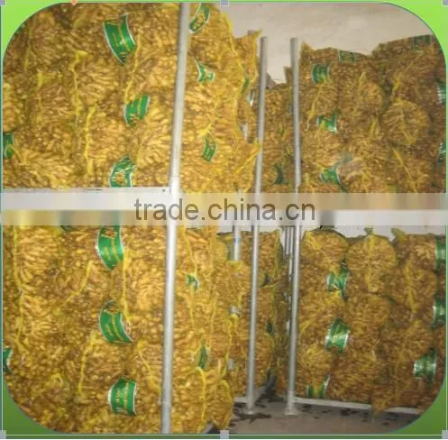GINGER PRICE IN CHINA photo-6