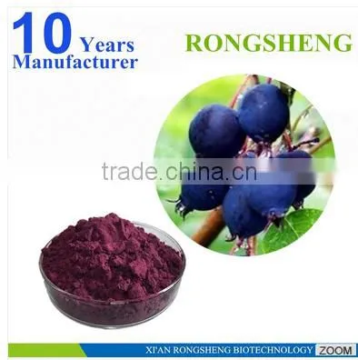 Hot Sale Freeze Dried Powder Organic Acai Berry photo-6