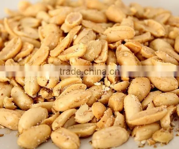 High Quality Peanut Frying Machine/ Peanut Fryer photo-2