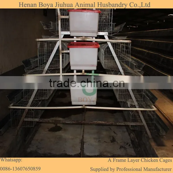 Poultry Farm Automatic Drinking System Feeding System for 10000 Chickens