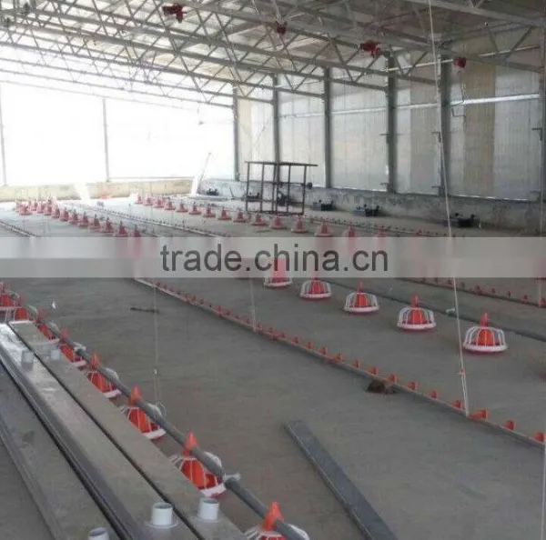 Automatic Broiler Feeding Line Raising Equipment photo-2