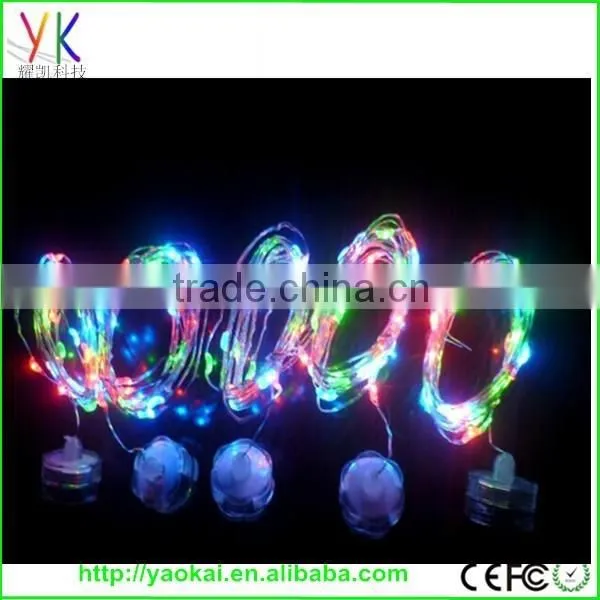 Factory Price and High Quality Waterproof Ip65 Led Decorative Light photo-4