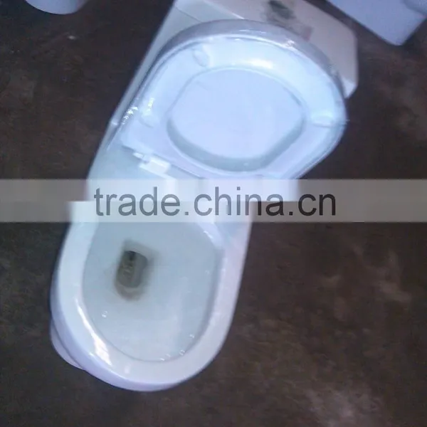 One Piece Toilet photo-5