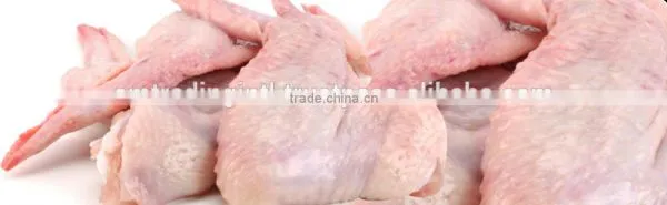 High Quality Frozen Chicken Wings for Sale