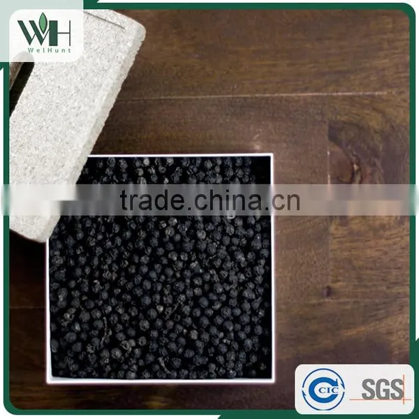 Vietnam Best Herb - Black Pepperseed 550gl 500gl With Good Price photo-3