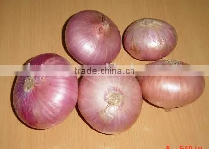 2015 Crop Fresh Red Onions for Sales With Market Price photo-5