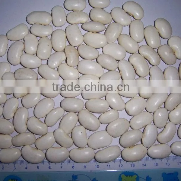 2014 Different Varieties of White Kidney Beans From China With Cheap Price photo-3