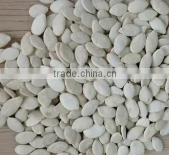 Wholesale Price Pumpkin Seeds photo-3