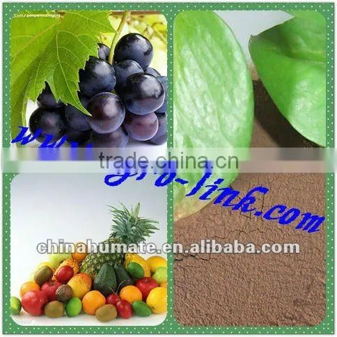Mineral Ore Fulvic Acid photo-3
