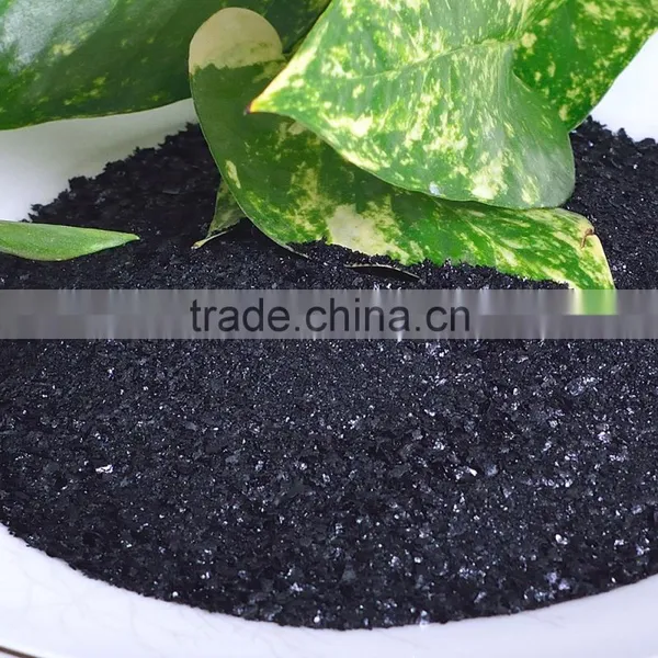 Seaweed Extract Flake Organic Fertilizer photo-3