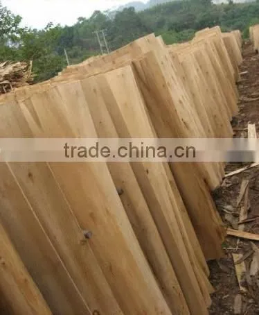 NATURAL WOOD VENEER, EUCALYPTUS VENEER, ROTARY CUT VENEER