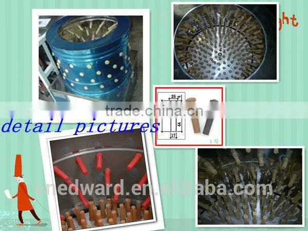 Most Popular Best Quality Product With CE Approved Full Automatic Halal Poultry Slaughtering for Sale EW-50 photo-2