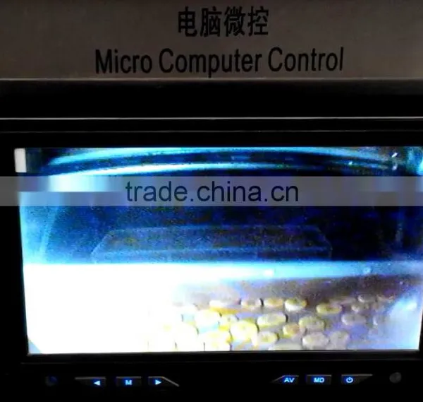 Low Temperature Microwave Vacuum Dryer for Banana Chips photo-4