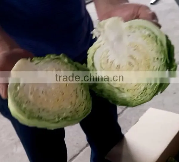 Fruit Vegetable Melon Half Cutting Machine photo-3