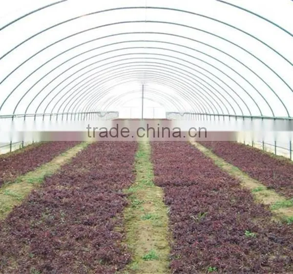 Tunnel Agriculture Greenhouse for Vegetable photo-6