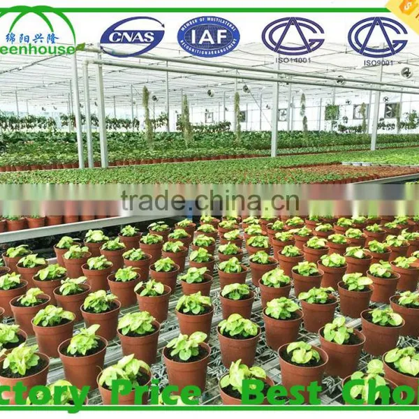 Large Garden Greenhouses