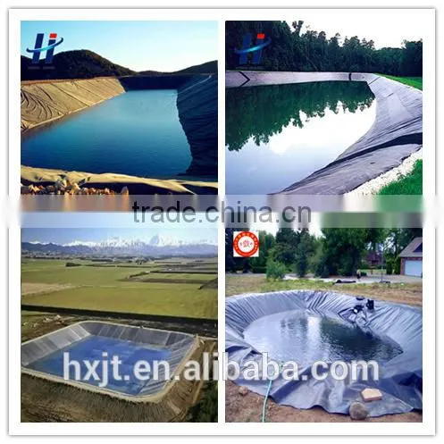 Best Price Geomembrane Containment Liners for Water Slope Protection/HDPE Geomembrane Sheet photo-3