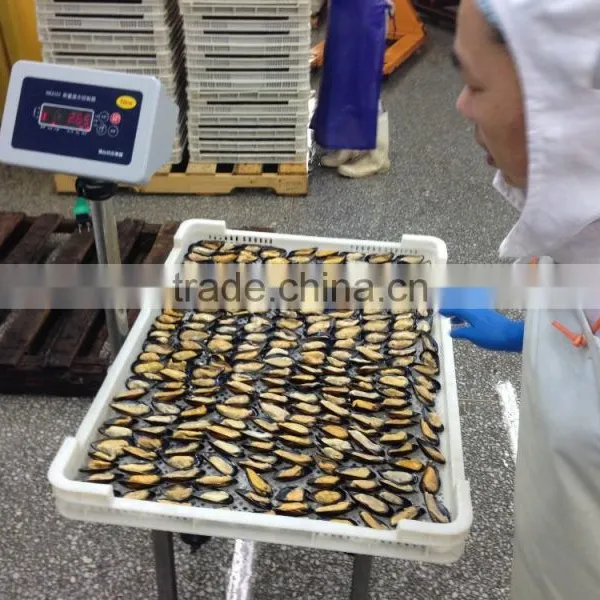 IQF Half Shell Blue Mussel photo-4