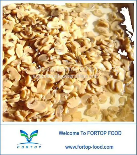 Factory Price Premium 2840G Canned Mushroom Slice in Brine