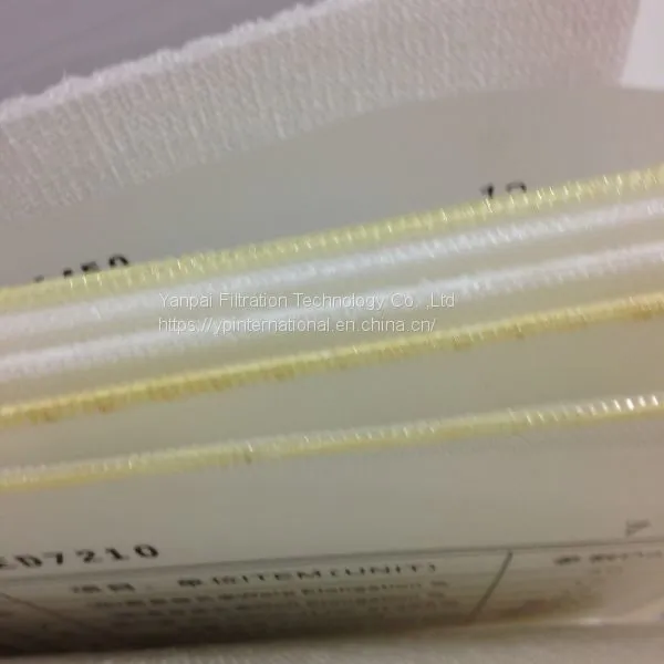 Filter Belt