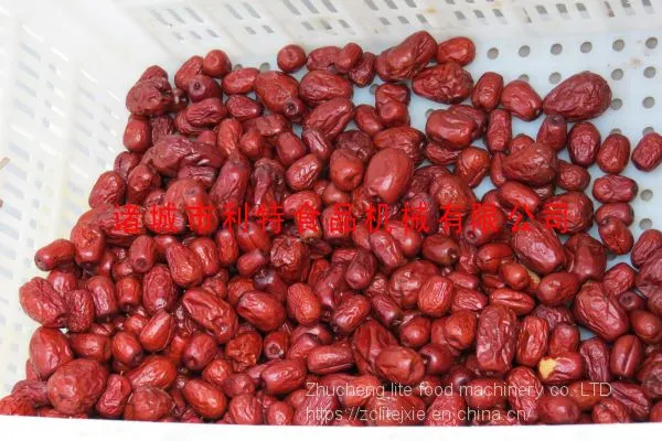 Jujube Cleaning Machine, Jujube Cleaning Line, Jujube Processing Equipment photo-4