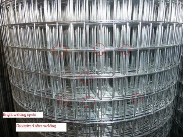 4x8 Wire Mesh Panels For Window Bar Access Matal Building Materials photo-3