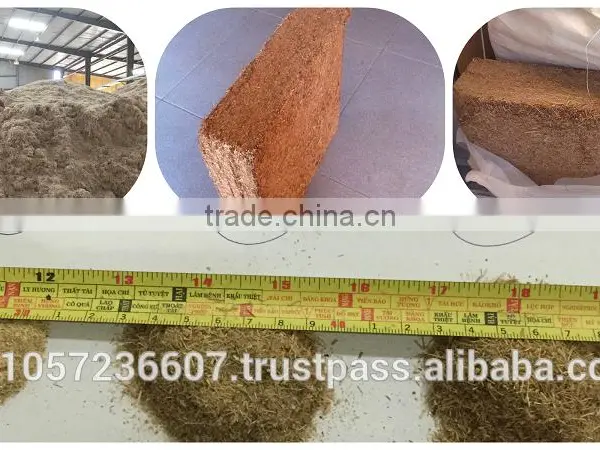 Bagasse Block for Animal Feed