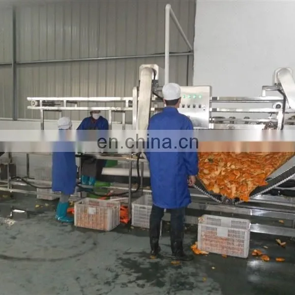 Fruit Juice Plant Industrial Apple Juicer Belt Extractor Machine photo-3