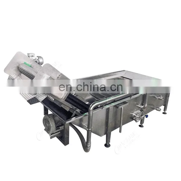 Canned Stuffed Manzanilla Olives Production Line Processing Machine Factory Plant photo-4